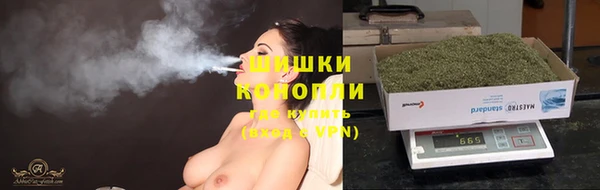 не бодяженный Аркадак