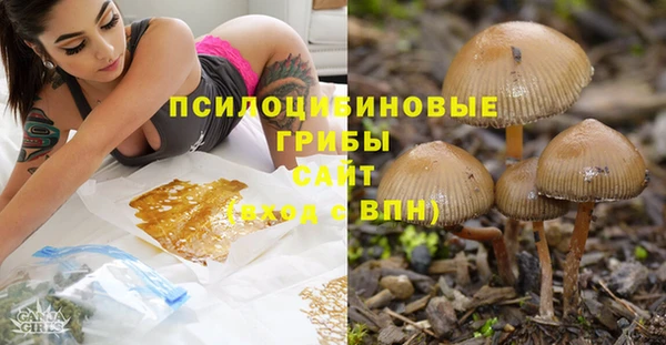 бошки Арсеньев