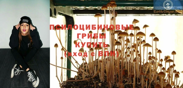 не бодяженный Аркадак