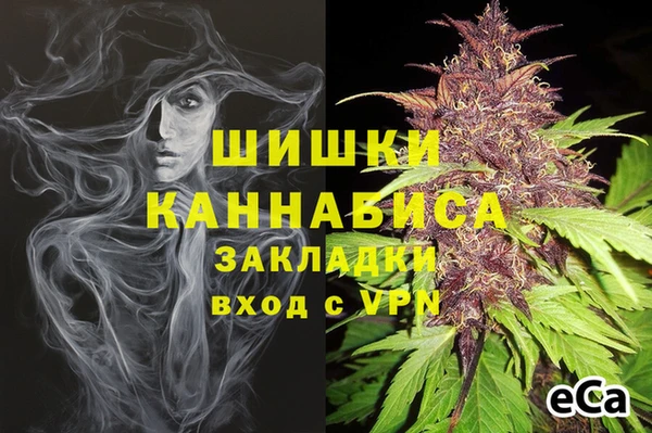бошки Арсеньев