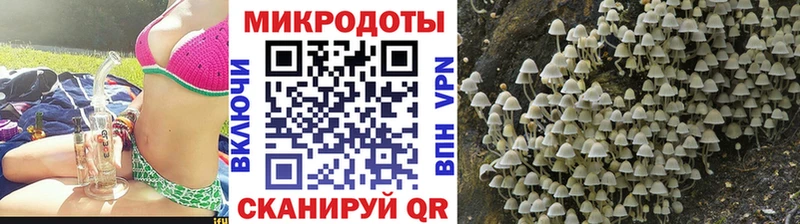 omg маркетплейс  Нижняя Салда  Псилоцибиновые грибы Magic Shrooms 